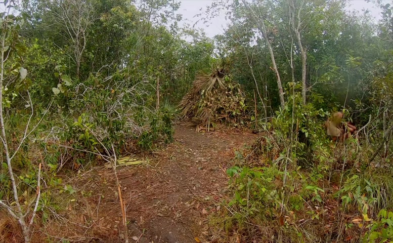 Michelle Armogida Butt Scene  in Naked And Afraid Xl