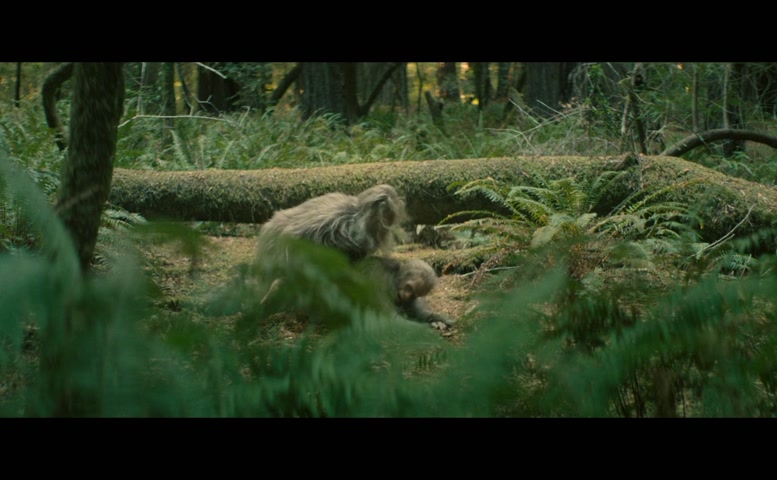 Riley Keough Sexy Scene  in Sasquatch Sunset