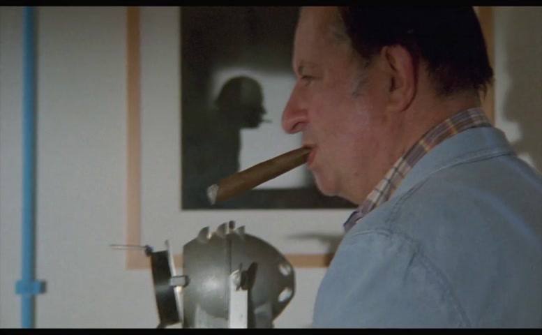 Cinzia Roccaforte Bush Scene  in Fermo Posta Tinto Brass