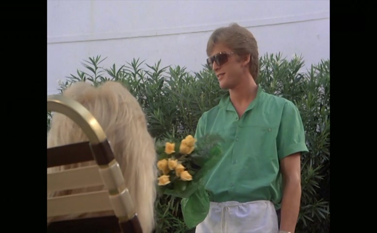 Lisa Hartman Bikini Scene  in Where The Boys Are ’84