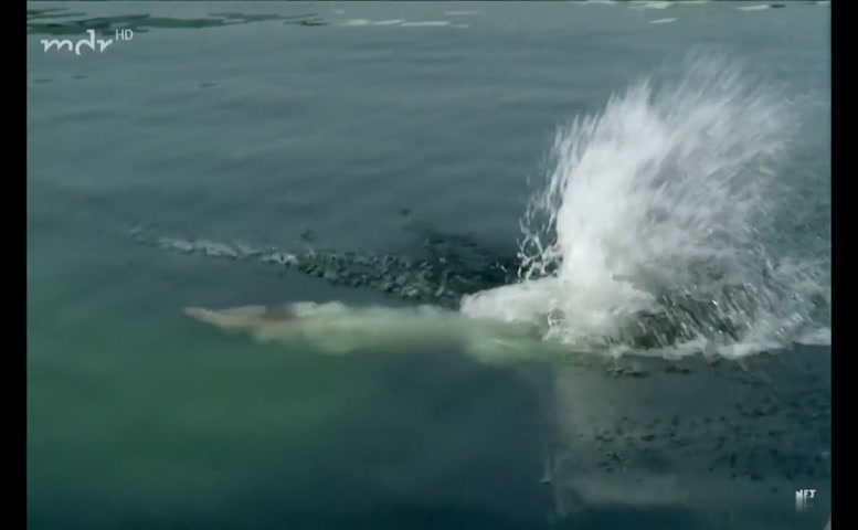 Annika Persson Butt,  Breasts Scene  in The Olsen Gang’S Big Score