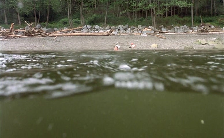 Erica Durance Breasts,  Bush Scene  in House Of The Dead