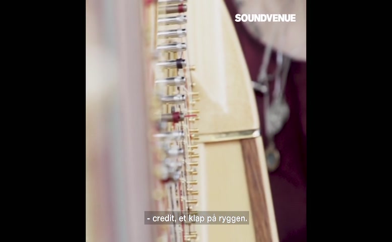 Selma Judith Breasts Scene  in Selma Judith Singer (And One Female Band Member) Topless On Concert Stage