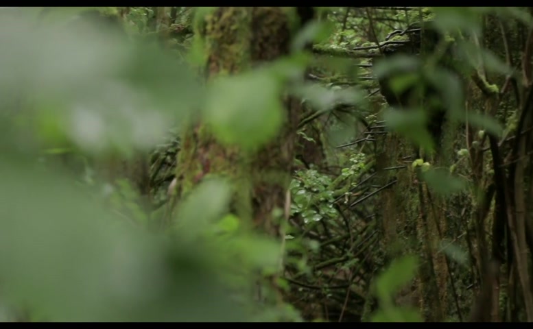 Franziska Petri Breasts,  Underwear Scene  in Hotel Auschwitz