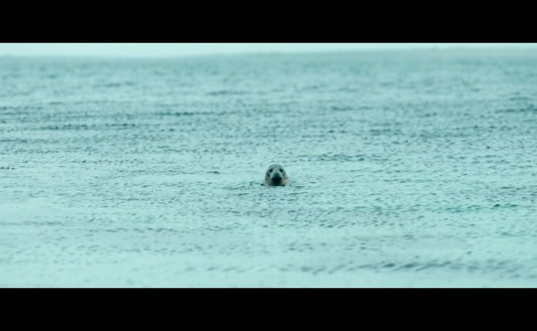 Saoirse Ronan Sexy Scene  in The Outrun