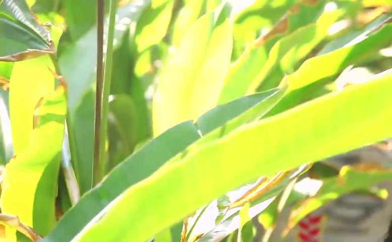 Irina Shayk Breasts Scene in Irina Shayk Agua Bendita 2012