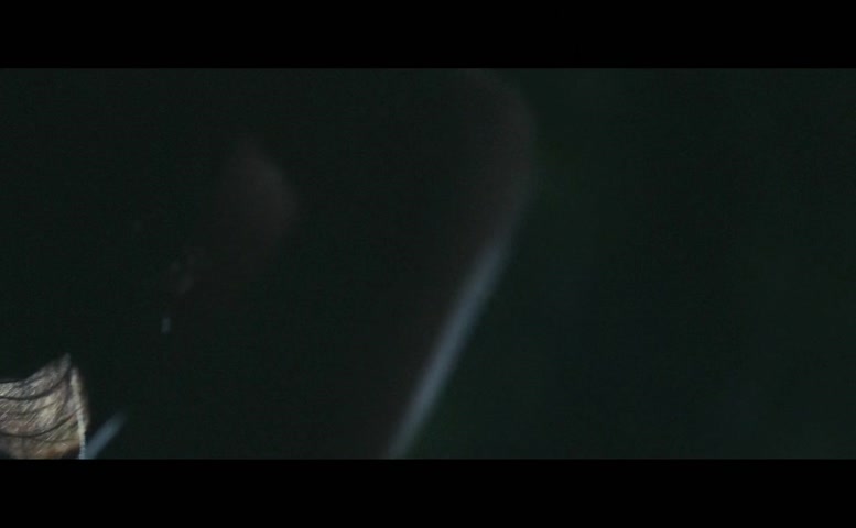 Alicia Jaziz Breasts Scene in Like Water For Chocolate