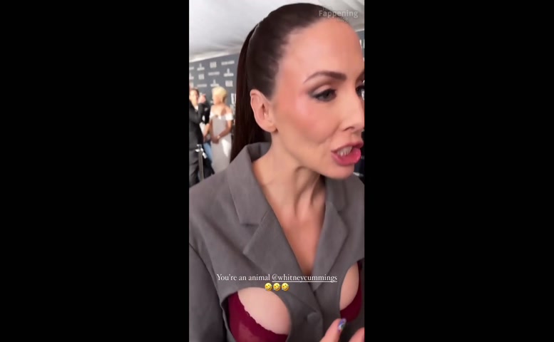 Whitney Cummings Underwear Scene in Whitney Cummings Sexy Photos And Video Flashing Her Hot Nipples In A Sultry Bra