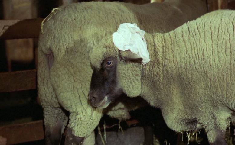 Heidi Miller Breasts, Underwear Scene in The First Turn-On!!