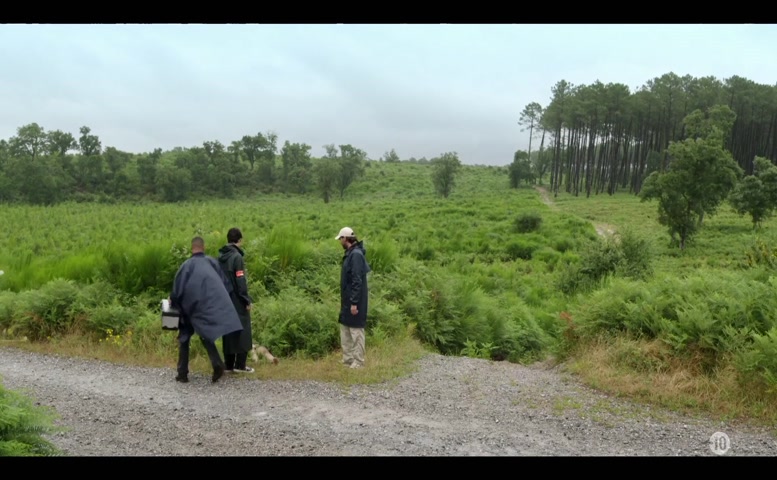 Unknown Breasts, Underwear Scene in Erica