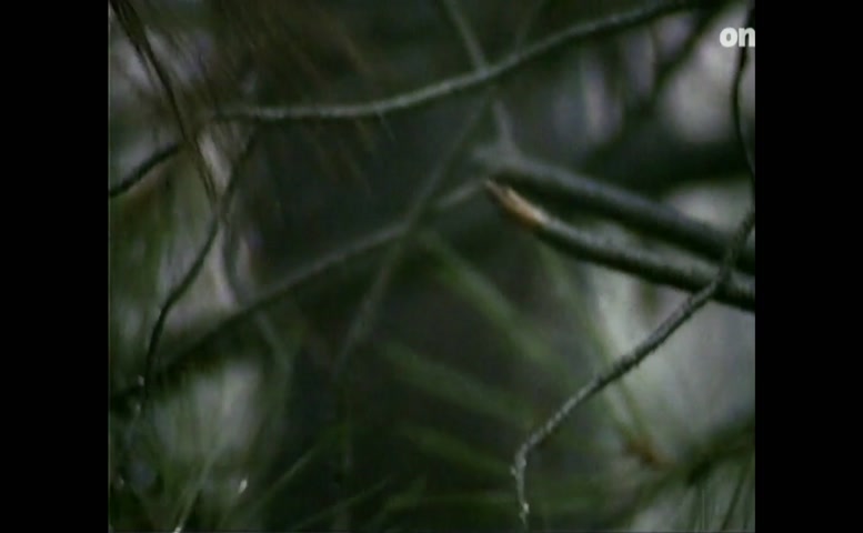 Muriel Baumeister Breasts, Underwear Scene in Ein Haus In Der Toskana