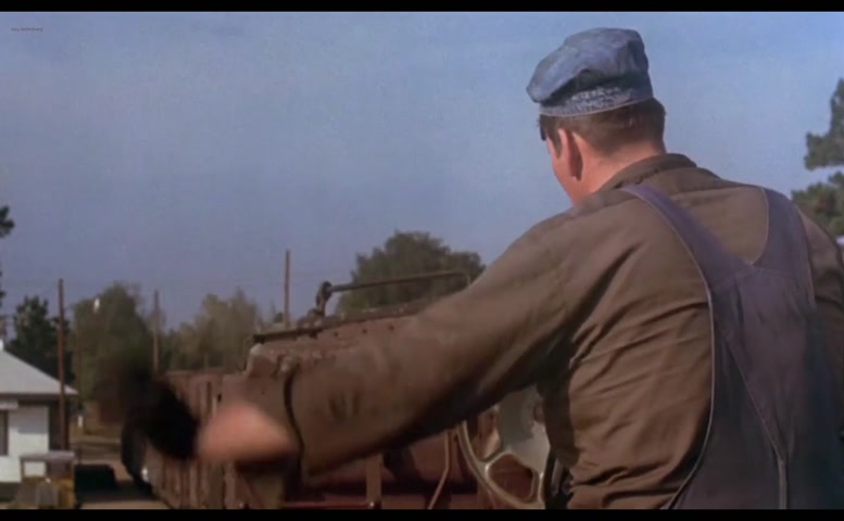 Barbara Hershey Butt, Breasts Scene in Boxcar Bertha