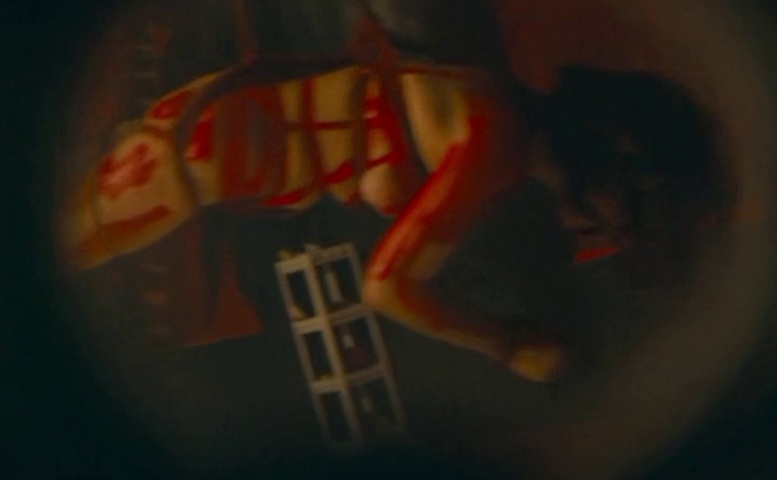 Maya Stojan Sexy Scene in Bight